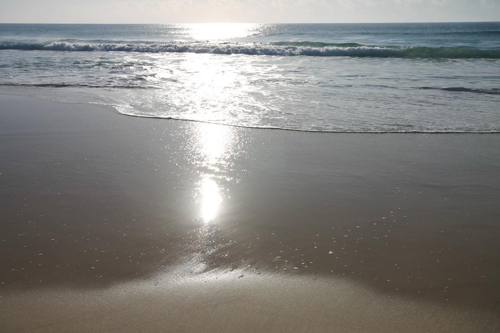Chill-Out Beachside - Main Beach Forster Ruang foto