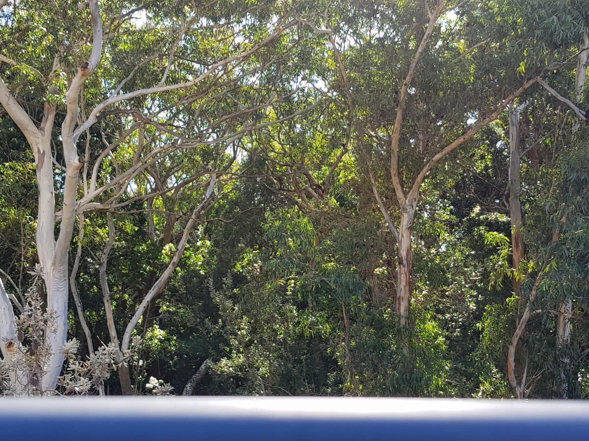 Chill-Out Beachside - Main Beach Forster Bagian luar foto